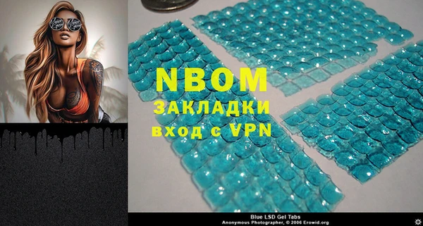прущие грибы Ростов