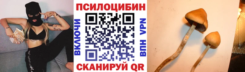 Галлюциногенные грибы Magic Shrooms  hydra вход  Белоозёрский 