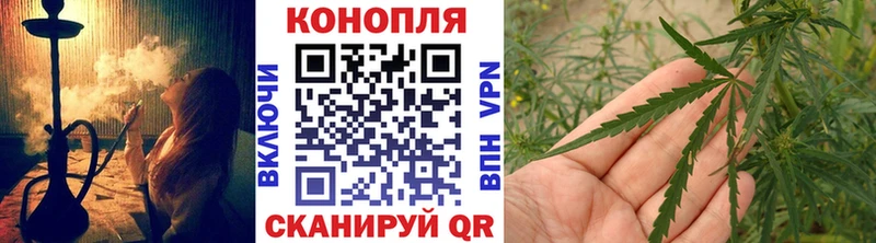 Каннабис SATIVA & INDICA  Белоозёрский 